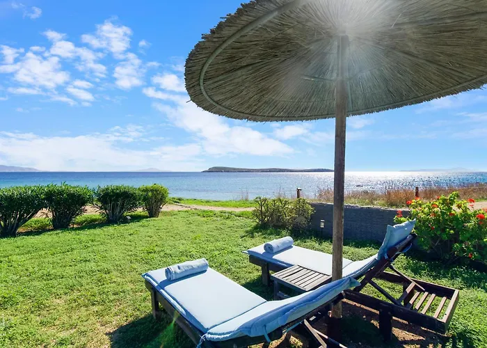 Seample Chrisi Akti (Paros)